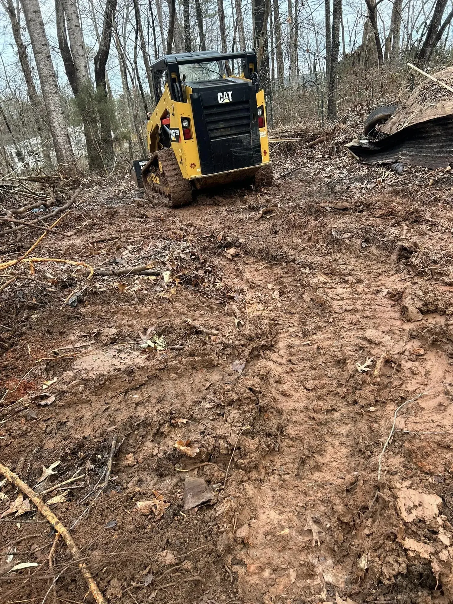 Tree Service