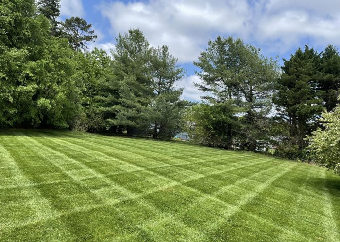 lawn care pleasant garden nc